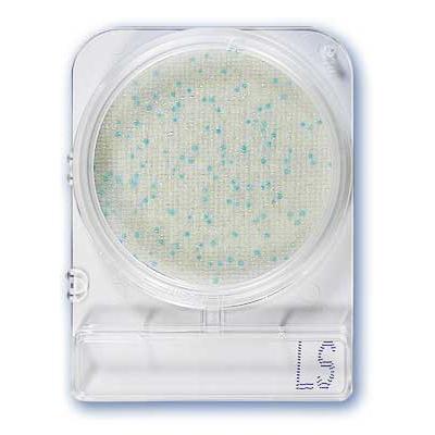 Compact Dry Detección de Listeria
