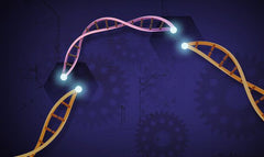 La ciencia del 2019 nos dejó algo extraordinario… #Aprendiendo con BeScience®