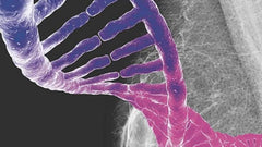 El Estudio de la mutación en pacientes con cáncer de mama y su valor para predecir. #Aprendiendo con BeScience®