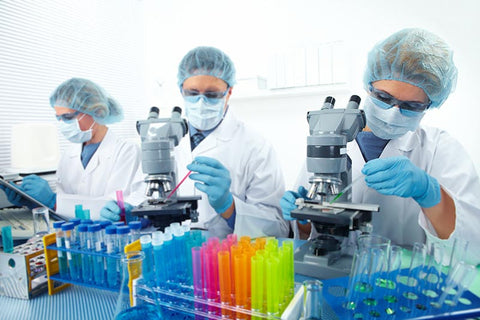 Biología molecular