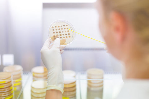 Biotecnología