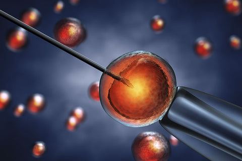 Fertilización in vitro